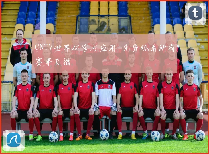 CNTV世界杯官方应用-免费观看所有赛事直播